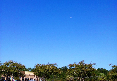 [In a cloudless bright blue sky there is a faintly visible top half of the moon. There are many trees and a building at the ground level, but the sky is more than two-thirds of the image.]